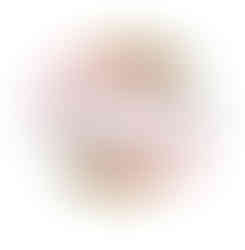 T Spice Logo