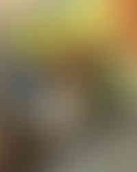 532471C9-7F29-4B61-B3C1-B402450B92A1.jpeg
