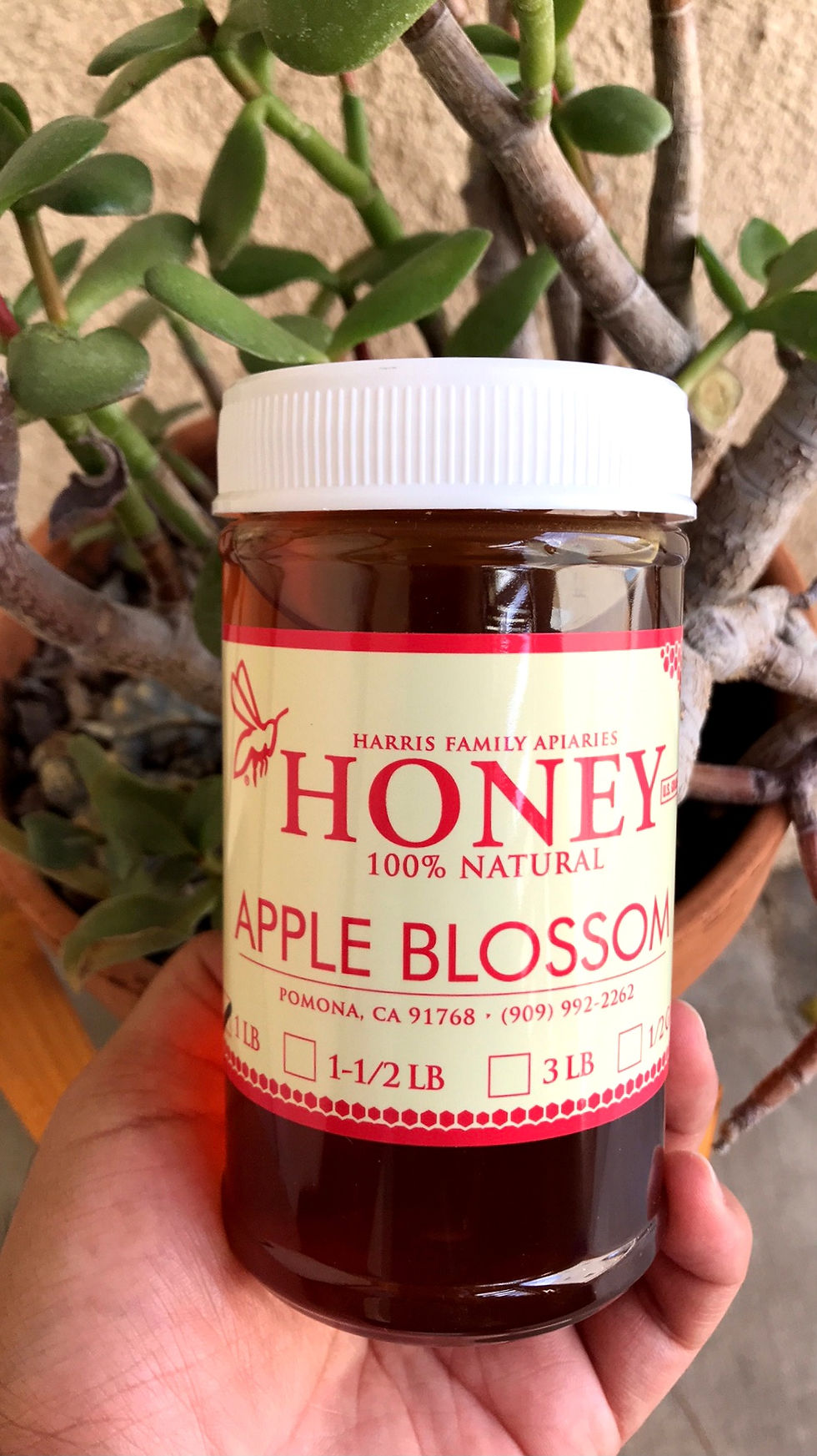 Local, Raw Honey, Apple Blossom Honey, Organic, Farmers Market, Near Me, Farm to Table, Kibo, Local Farms, Produce Delivery