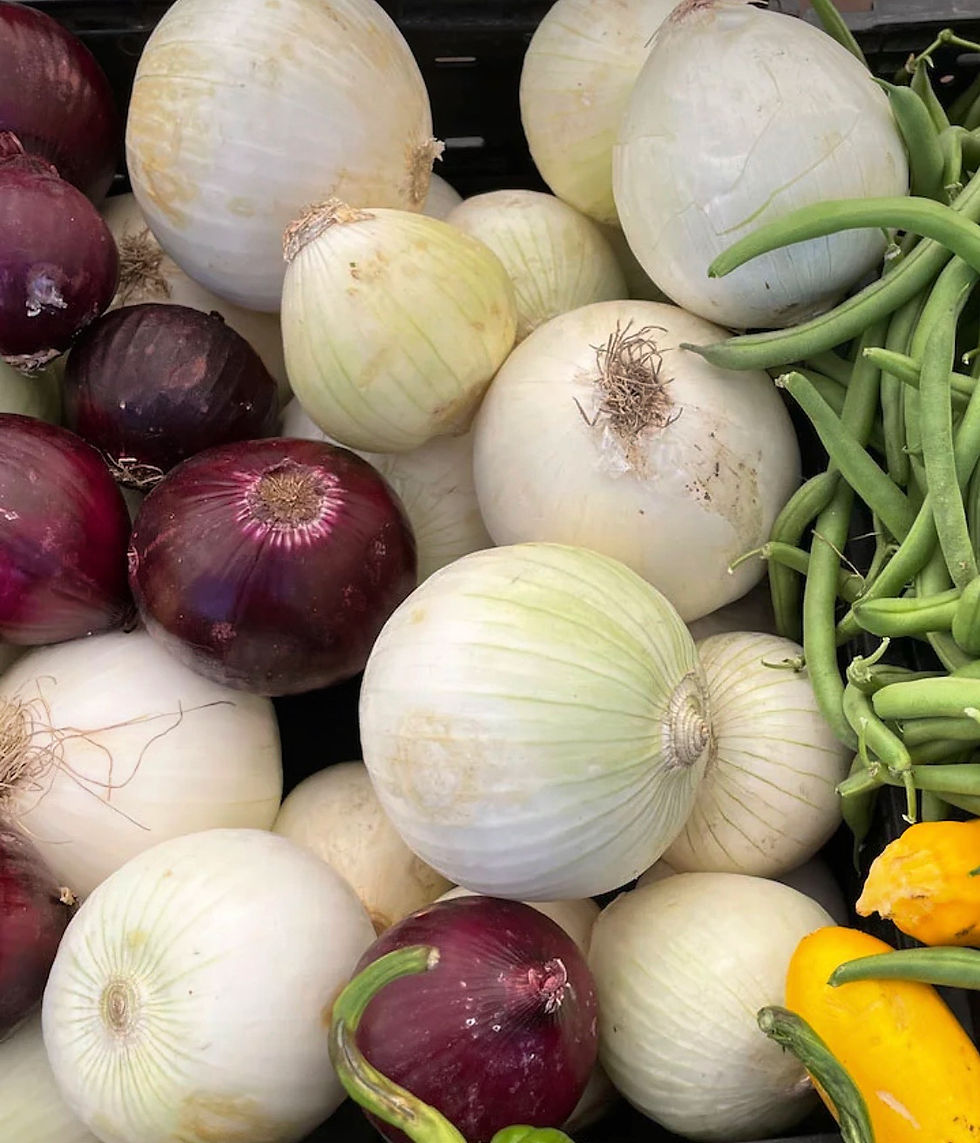 Farm Fresh Organic Locally Grown White Onion, Farmers Market Near Me, Kibo, Kibo Exprss, Kibo Organic, Local Farms Near Me,