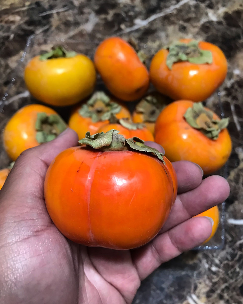 Farm Fresh Organic Fuyu Persimmon, Locally Grown, Local Produce, Sustainably Grown, Farmers Market, Kibo, Near Me,