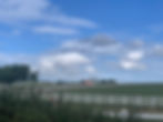 Mozaik Winery