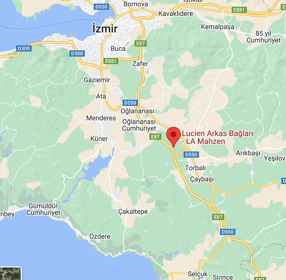 LA Vineyard Location