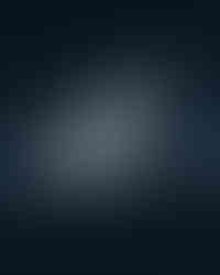 Vom Mondlicht beleuchtete, verschneite Bäume unter klarem Sternenhimmel