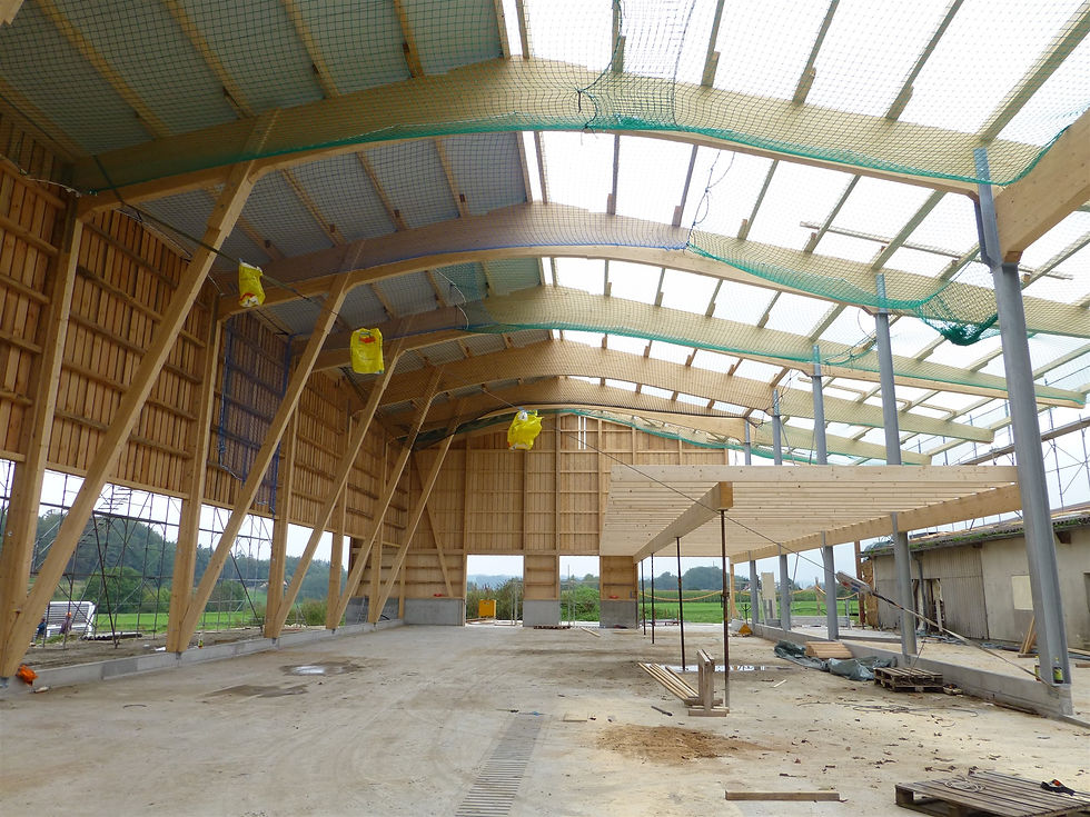 Holz Lagerhalle errichten