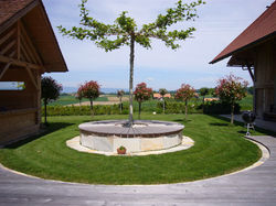 Baum Umrandung