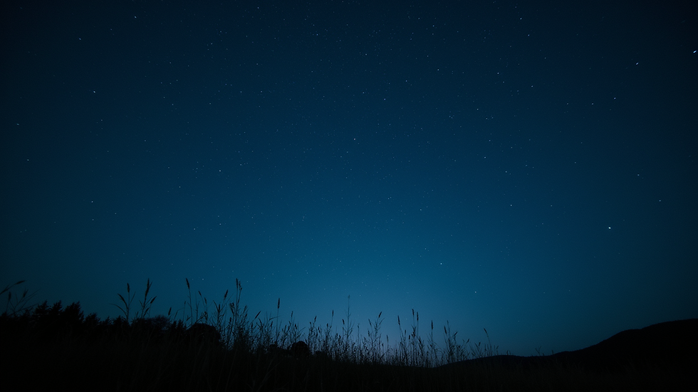 Eye-level view of a serene night sky filled with stars