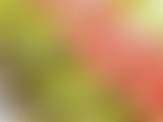 Bacon Wrapped Asparagus