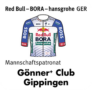 Mannschaften-GP-Gippingen-4.png