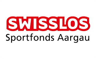 Stauseelauf-Gippingen-Sponsoren-Logos2.png