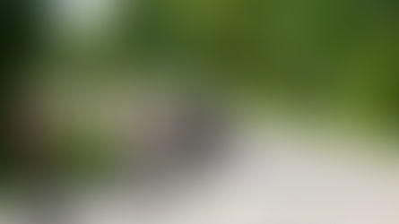 So erlebst du den GP Gippingen hautnah