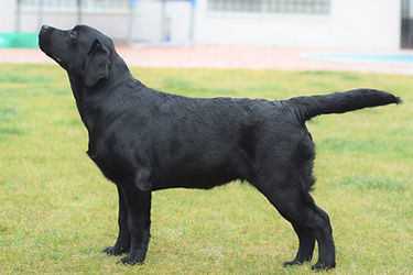 kiwi 4 months best.jpg