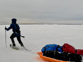 Adrien Laprise - Mars 2026