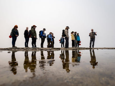 Groupe de chercheurs à l'île d'Anticosti