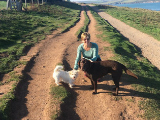 Beth and Dave join Doggie Holiday Homes