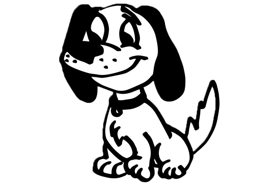 doggy daycare solent