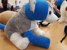 First Aid event at Gosport