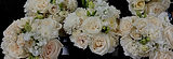 IMG_2606_edited_edited.jpg