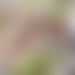 סלט יווני Greek Salad 