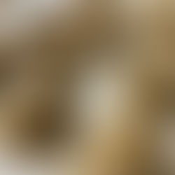 עוגיות גרנולה חלבה Granola Halva Cookies