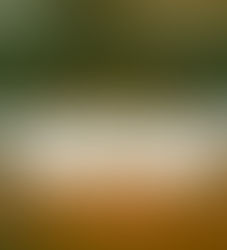 Reflecting on the Counseling Creators Conference: A Glimpse into the Intersection of Law and Content