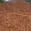 Thumbnail: Medium Bark