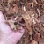 Thumbnail: Walk on bark