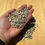 Thumbnail: Pea Gravel-natural in shape-per cubic yard