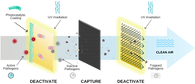 Picture 1 (1).png