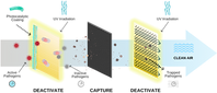 Picture 1 (1).png