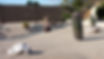Desert themed xeriscaping with barrel and saguaro cacti along with gravel and boulders