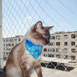 49077857_748119515558729_320133312910511