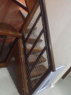 11011461_727798343996858_1172470340357543168_n (1)