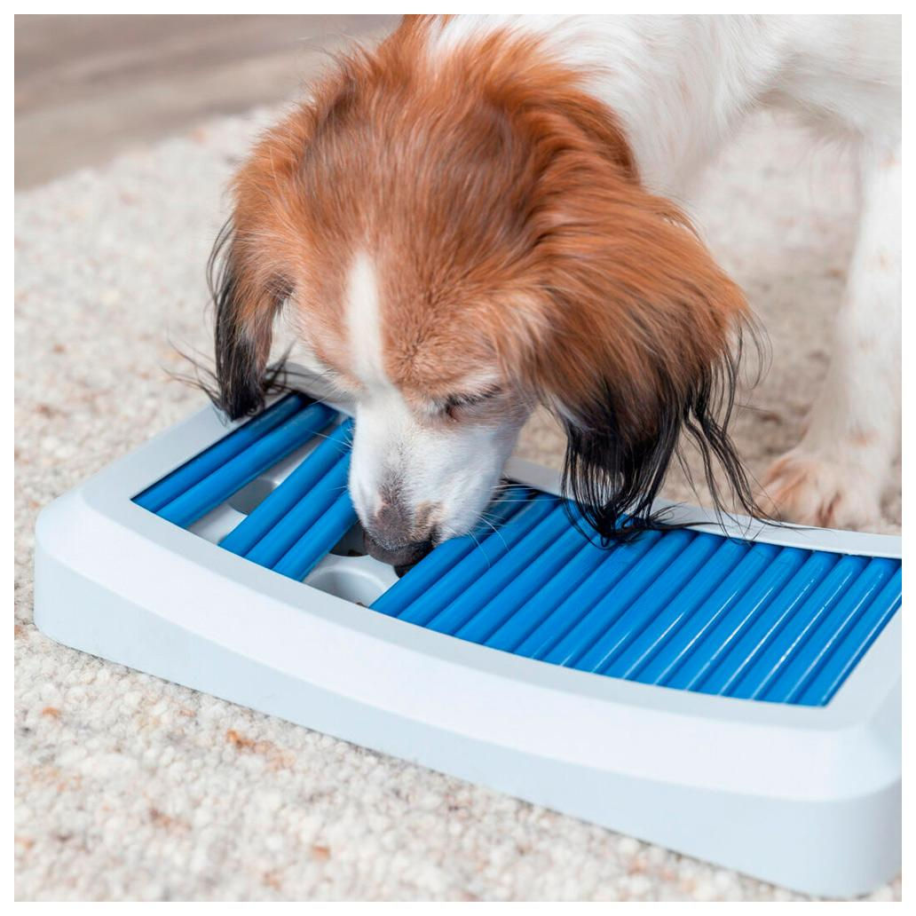 JOGO "ROD BOARD" PARA CÃES