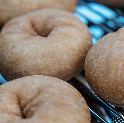 OMG Donuts.png