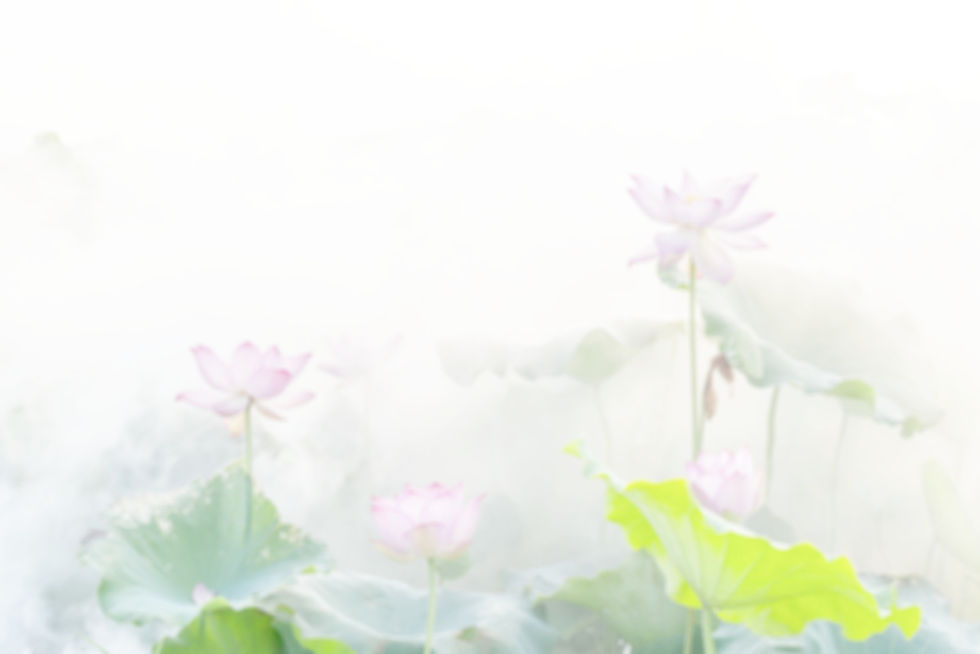 AdobeStock_238548828_Preview_edited_edited.jpg