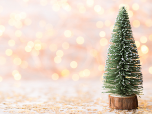 Helping Your Business Get Ready For The Lead Up To Christmas!