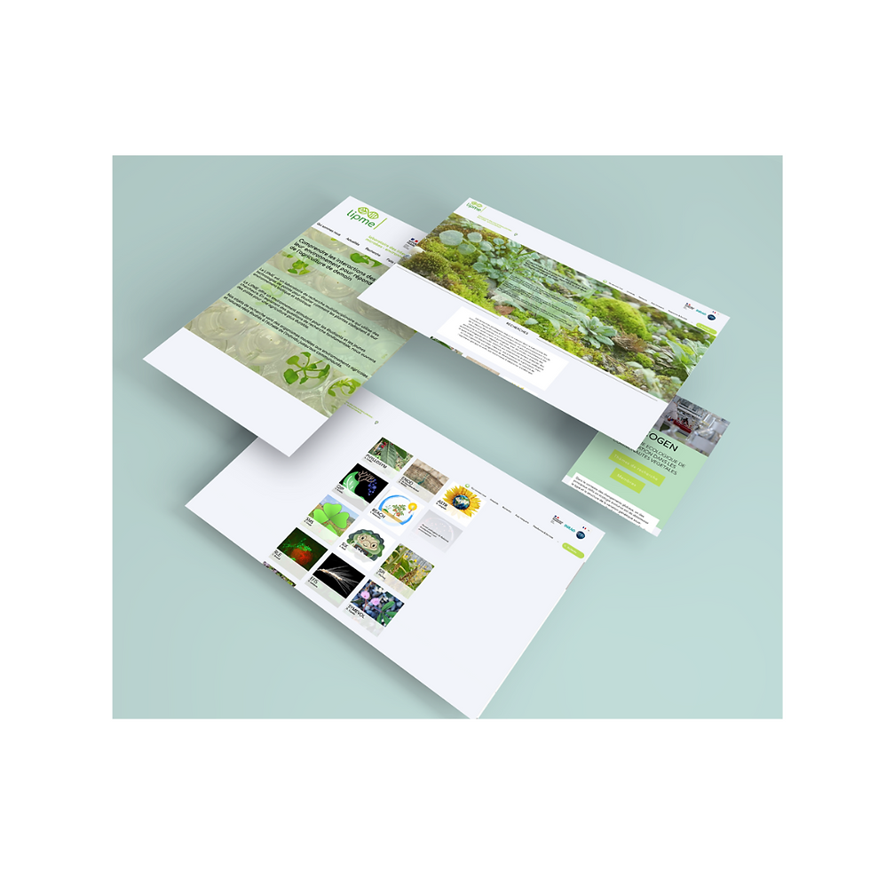 Refonte site internet LIPME (INRAE)