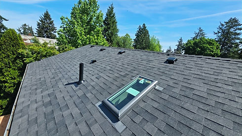 ROOFING 1_edited.jpg
