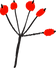 冬の植物