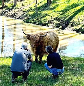 Highland View Farm S2_edited.jpg