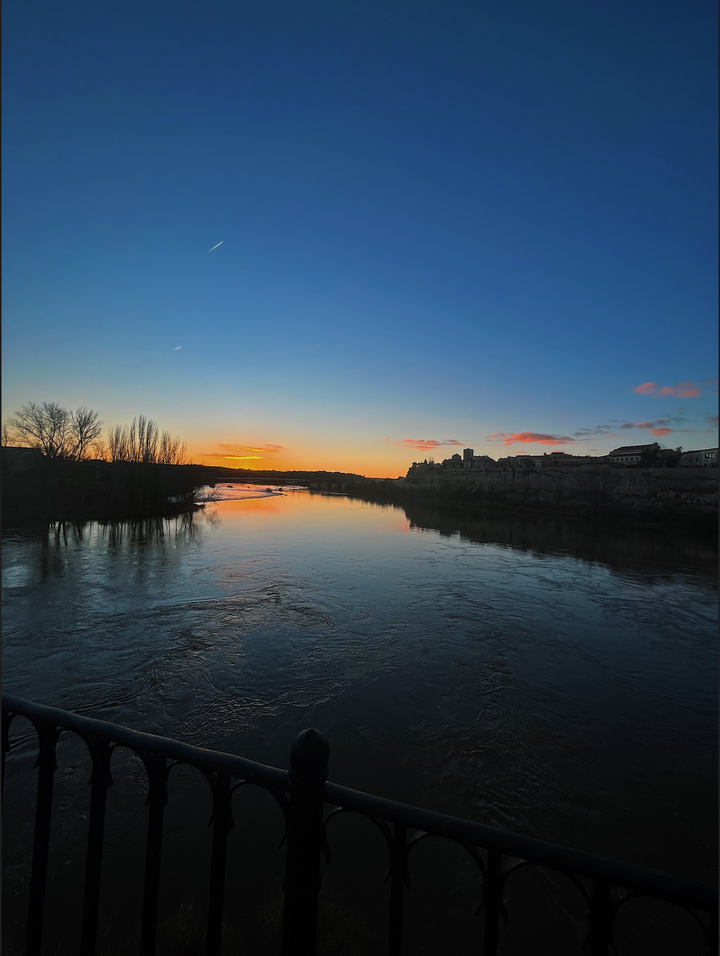 Screen Shot 2023-05-02 at 2.07.53 PM.png