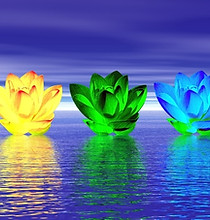 chakra flowers.jpg