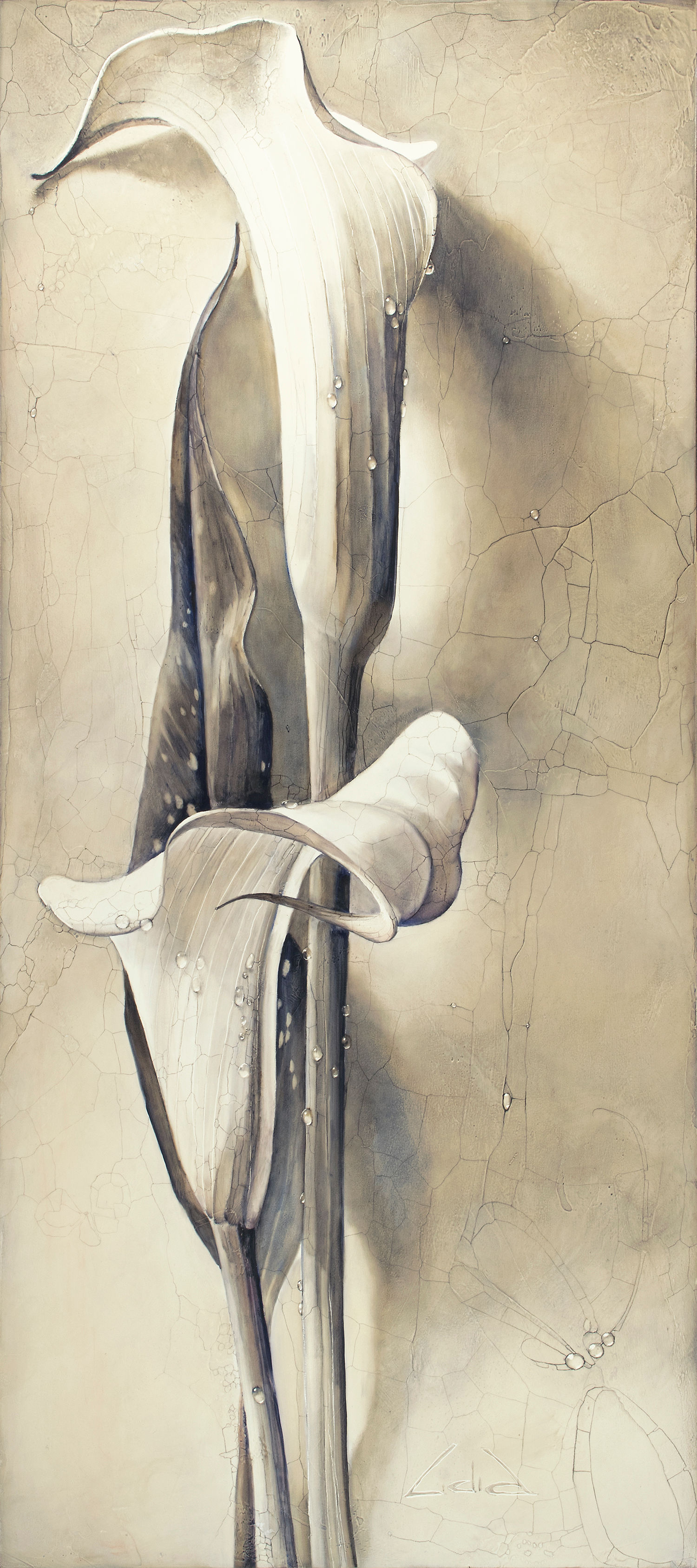 #435 “Calla Lily”, original oil painting/SOLD 