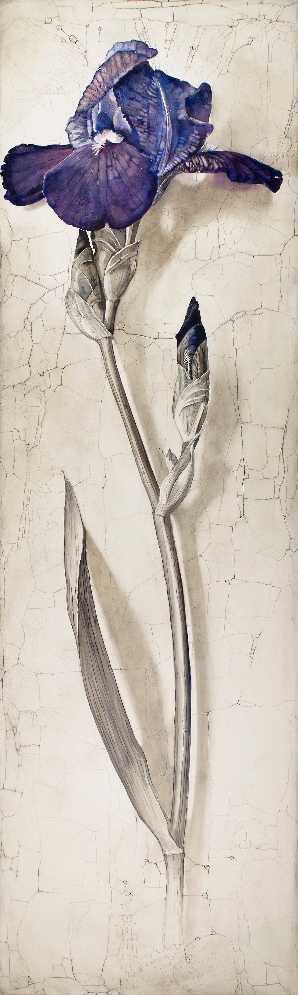 #419 „Iris2”, original oil painting/SOLD