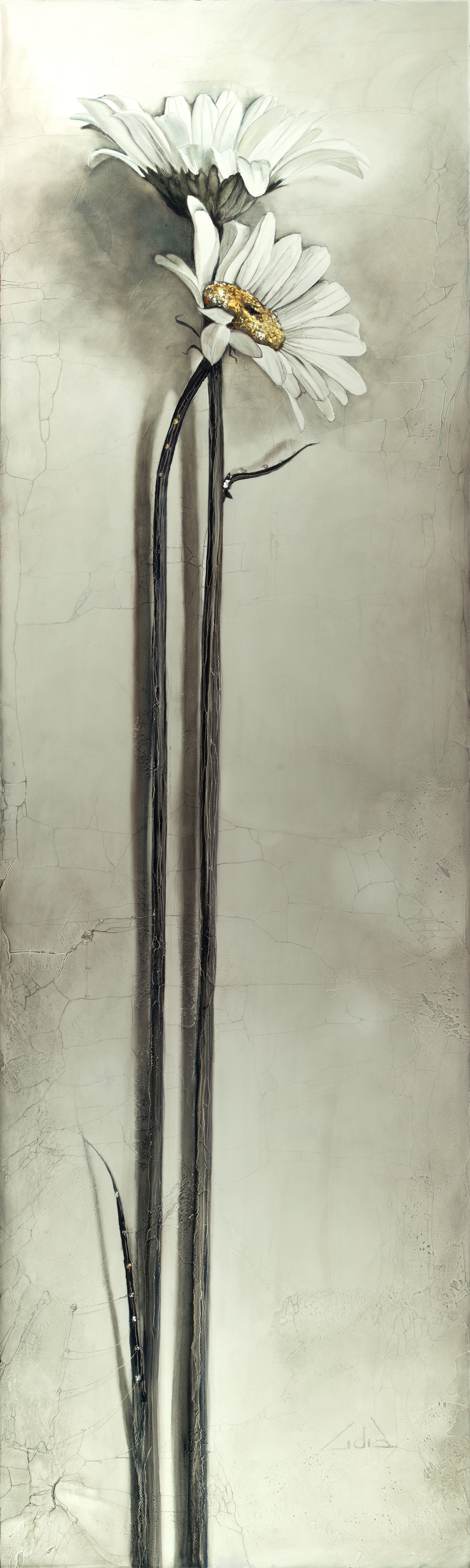 #334"Daisies in June" giclée print on canvas