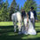 Thumbnail: Wedding Photos