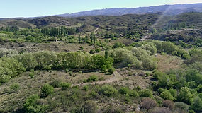 Papagayos-57.webp