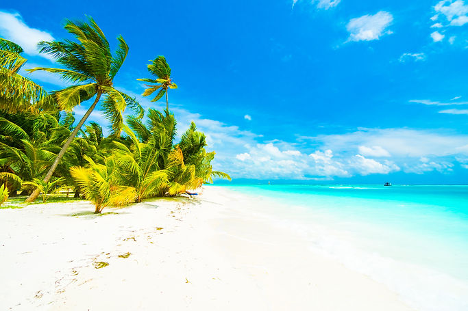 tree-sky-lagoon-maldives-resort.jpg