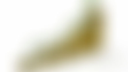 Conceitos de receita e lucro